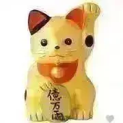KIM KIMの画像