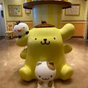 ポムポムの画像