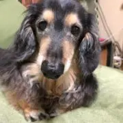 ben★benの画像