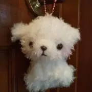 れんこんの画像