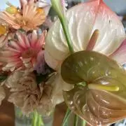 non☆の画像