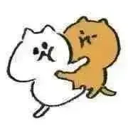 ハチワレにゃんこの画像
