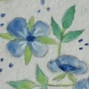 mochiの画像