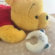 ゴマ☆の画像