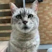 SUMIYの画像