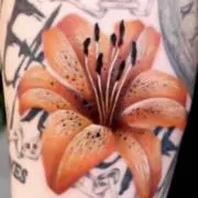 Tiger Lilyの画像