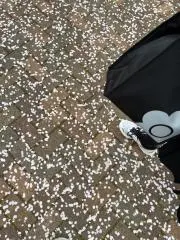 あかり お値下げ⭕️ プロフ必読の画像