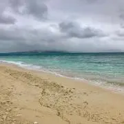 なんでもいいやんの画像