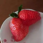 ペンネの画像