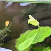 minimo1216の画像