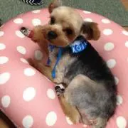 みちの画像