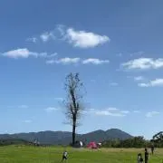 コロコロの画像