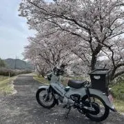 森の画像