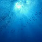 ☆断捨離中☆　即購入◎の画像