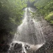 ryuの画像