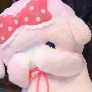 ruinの画像