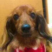 くれあ ＊プロフ必読願います＊
