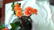 東の画像