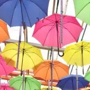 うらんの画像