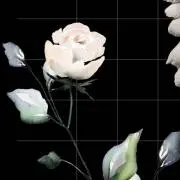 a♡の画像