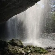 Mの画像