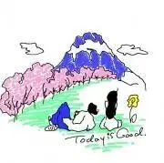 Today is good store