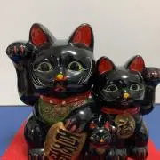 ぼんじろうの画像