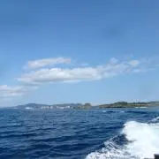 メイちゃんの画像
