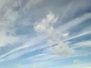 ぴのの画像