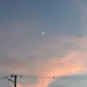 MOCAの画像