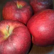 ぷよの画像
