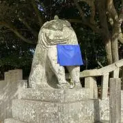 こなコナもんの画像