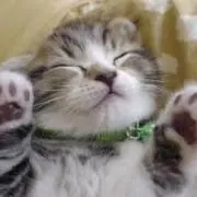 あやせ