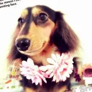 きよみっち