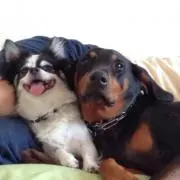 キャシー