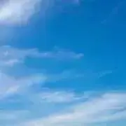 リンゴ（自己紹介一読願います）の画像