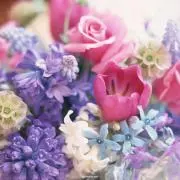 がちゃんの画像