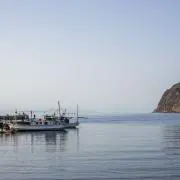 たね