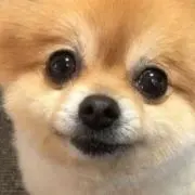 みゆきの画像