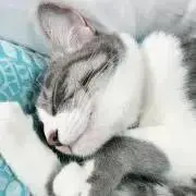 そらの画像