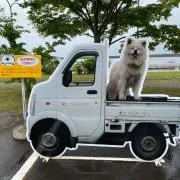 andyの画像