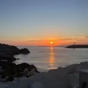 LEIの画像