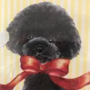 Nananoの画像