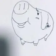 ANI