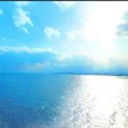 美容マニア/最短即日発送/全て正規品の画像