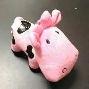 のんたんの画像