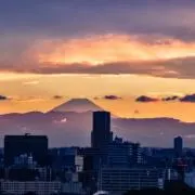 はなの画像