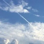 木隠森中(プロフ確認お願い致します！)の画像