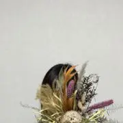 SAの画像
