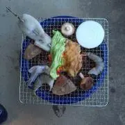 いもちんの画像